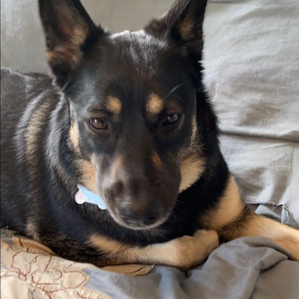 Meet your Posher, Isabel